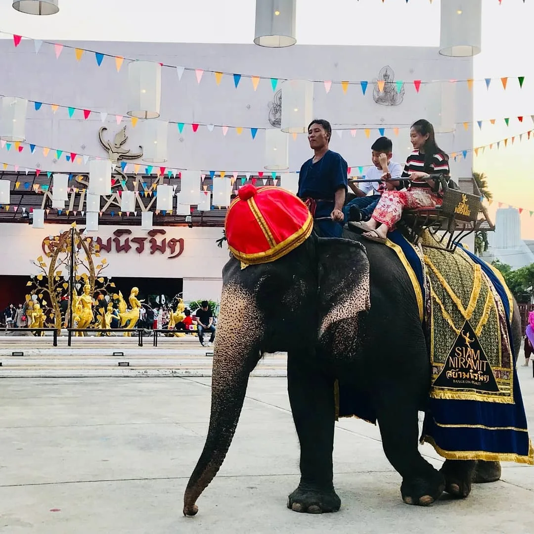 Elephant Show