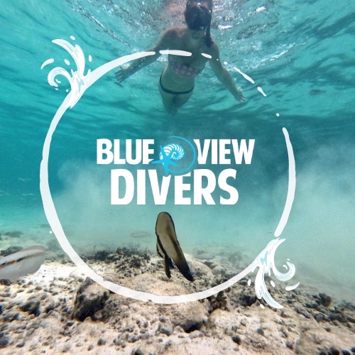 Blue View Divers Phi Phi logo