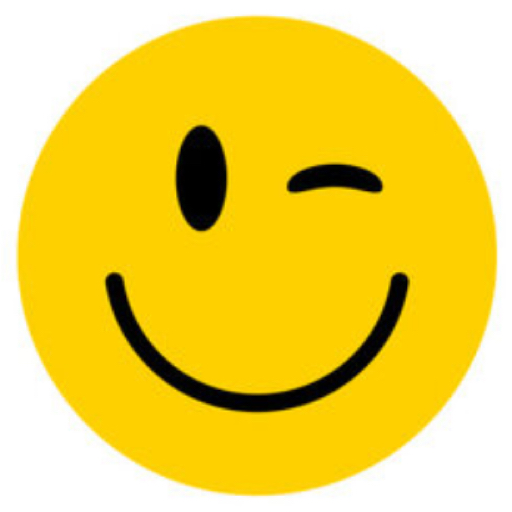 Fun and Smile Travel logo