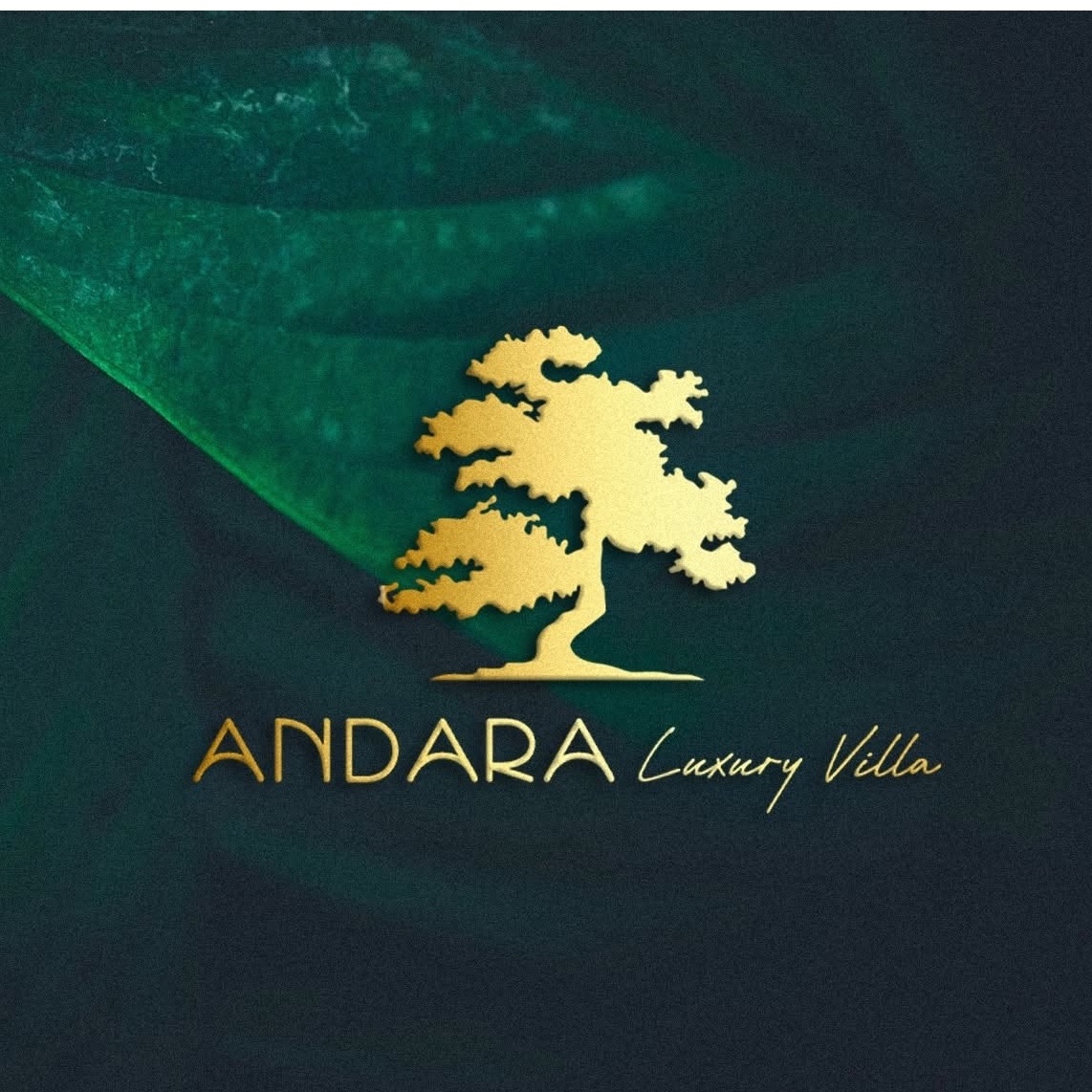 Anda Property Krabi logo