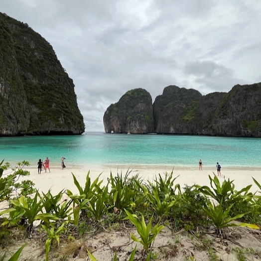 Freedom Travel Longtail Boat | Phi Phi Island logo